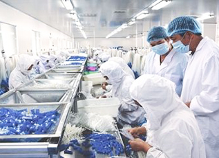 Z6·尊龙凯时「中国集团」官方网站